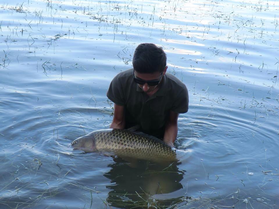 2013 - 3 - image111111111111111111111.jpg